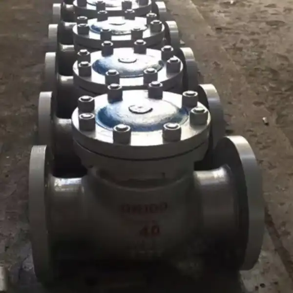 6 Swing Check Valve