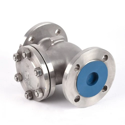 6 Swing Check Valve 6 Swing Check Valve