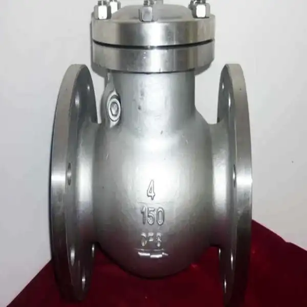 6 Swing Check Valve