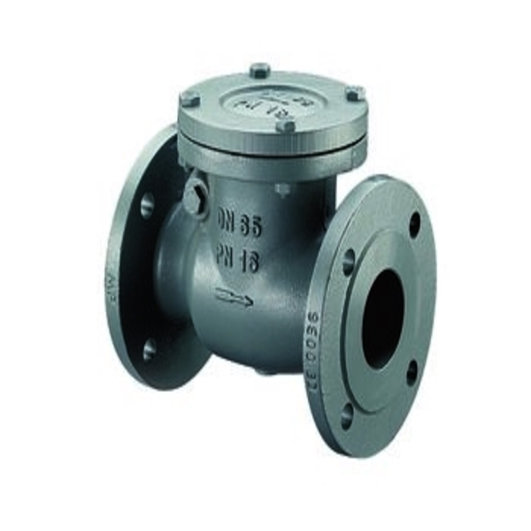 6 Swing Check Valve