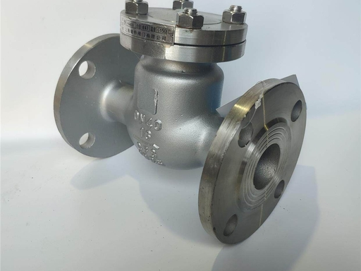 6 Swing Check Valve