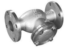 6 Swing Check Valve