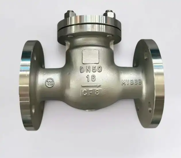 Cast Steel Steam Check Valve