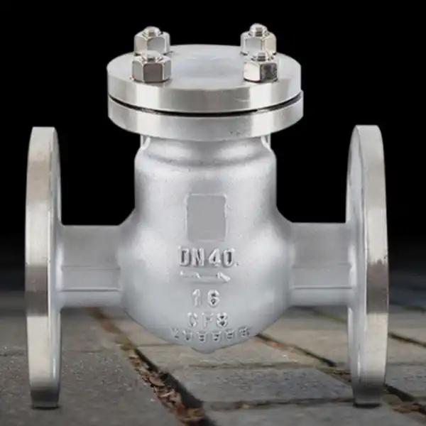 6 Swing Check Valve