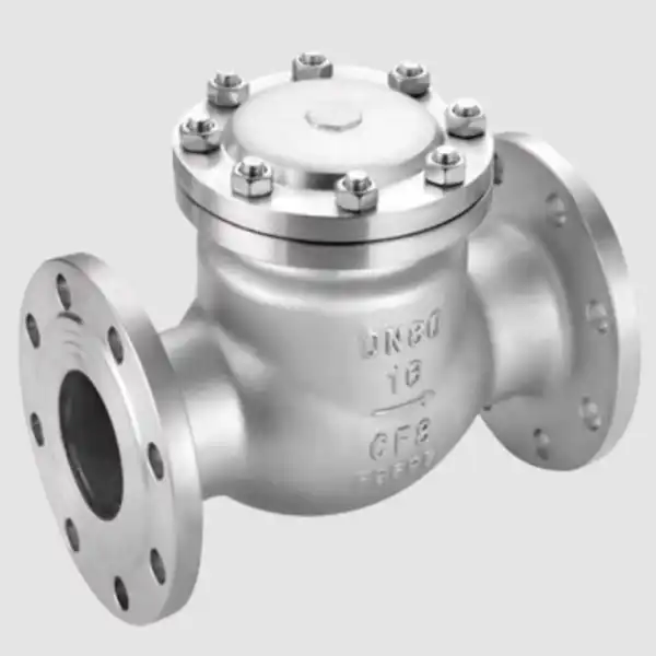 Cast Steel Steam Check Valve