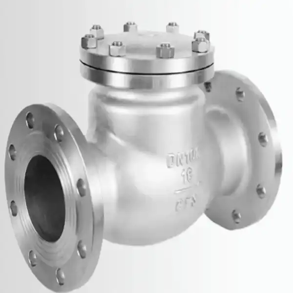 Cast Steel Steam Check Valve