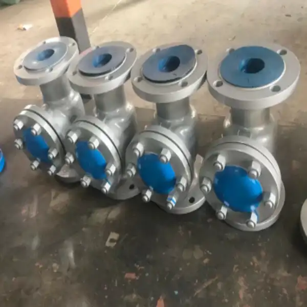 6 Swing Check Valve