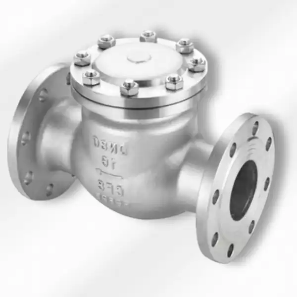 6 Swing Check Valve