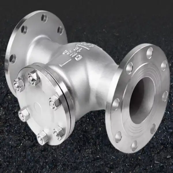 Cast Steel Steam Check Valve