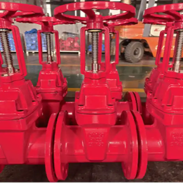 Fire Protection Flanged Valve