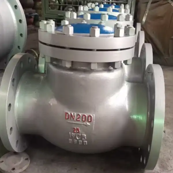 6 Swing Check Valve
