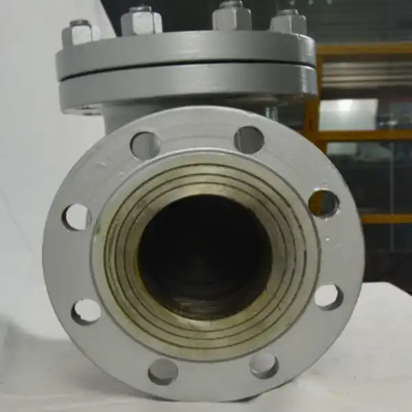 6 Swing Check Valve