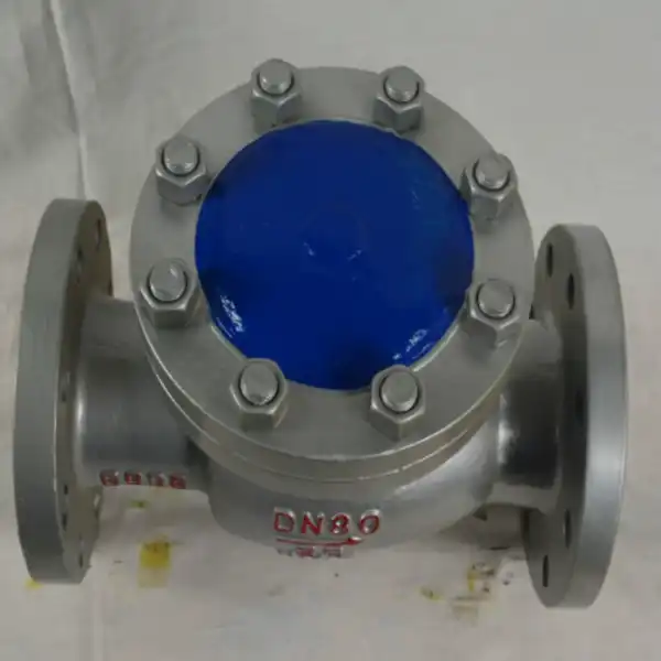 6 Swing Check Valve
