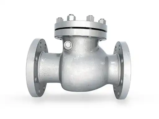What is a Steam Check Valve?
